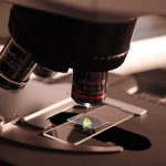 A scientist looks at a stem cell under a microscope.